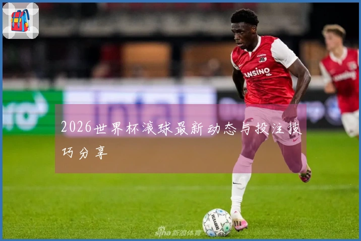 2026世界杯滚球最新动态与投注技巧分享
