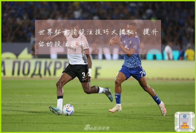 世界杯竞猜投注技巧大揭秘，提升你的投注技巧