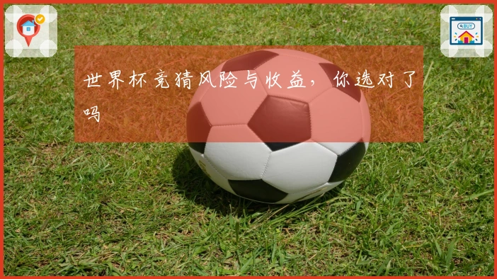 世界杯竞猜风险与收益，你选对了吗