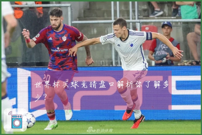 世界杯买球竞猜盘口解析你了解多少？