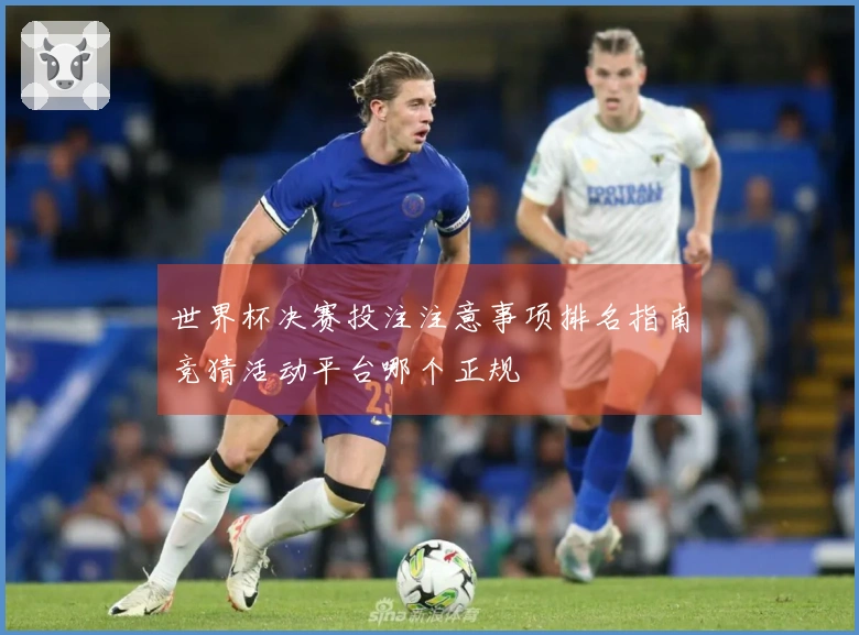 世界杯决赛投注注意事项排名指南竞猜活动平台哪个正规