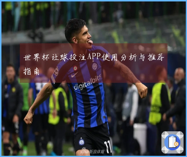 世界杯让球投注APP使用分析与推荐指南